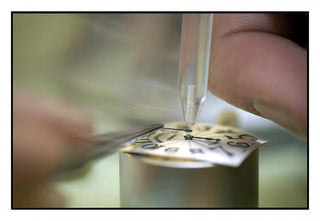 Franck Muller Brand Story