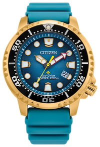 Promaster Dive | BN0162-02X