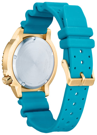 Promaster Dive | BN0162-02X