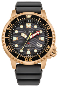 Promaster Dive | BN0163-00H