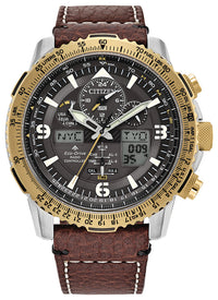 Promaster Skyhawk A-T | JY8084-09H